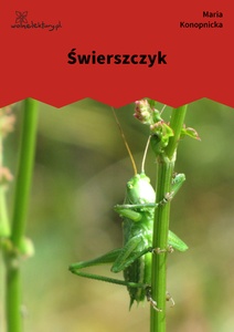 Konopnicka, Świerszczyk