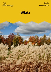 Konopnicka, Wiatr