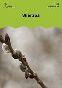 Konopnicka, Wierzba