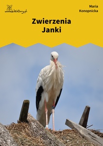 Konopnicka, Zwierzenia Janki