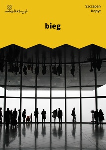 Kopyt, Sale sale sale, Bieg