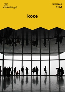 Kopyt, Sale sale sale, Koce