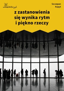 Kopyt, Sale sale sale, Z zastanowienia się wynika rytm i  piękno rzeczy