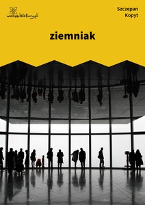 Kopyt, Sale sale sale, Ziemniak