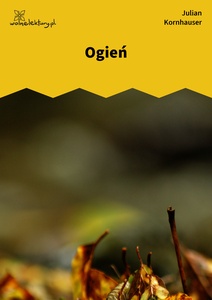 Kornhauser_Zjadacze_kartofli_Ogień