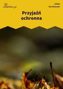 Kornhauser_Zjadacze_kartofli_Przyjaźń_ochronna