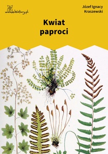 Kraszewski, Bajki i powiastki, Kwiat paproci