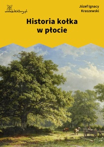 Kraszewski, Historia kołka w płocie