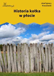 Kraszewski, Historia kołka w płocie