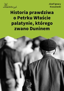 Kraszewski, Historya prawdziwa o Petrku Właście palatynie którego zwano Duninem