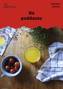 Leśmian, Napój cienisty, Na poddaszu