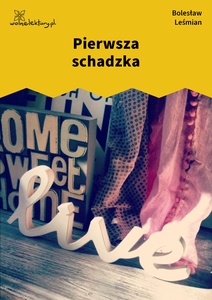 Leśmian, Napój cienisty, Pierwsza schadzka