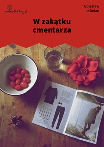 Leśmian, Napój cienisty, W zakątku cmentarza