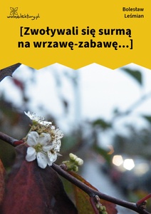 Leśmian, Napój cienisty, Zwoływali się surmą na wrzawę-zabawę