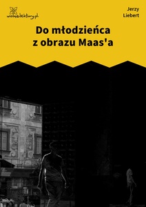 Liebert, Druga Ojczyzna, Do młodzieńca z obrazu Massa