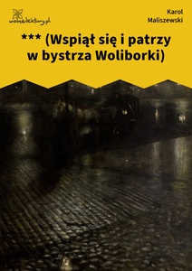Maliszewski, Zdania na wypadek, *** (Wspiął się i patrzy w bystrza Woliborki)