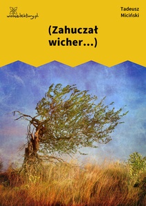 Miciński, W mroku gwiazd, In loco tormentorum, Zahuczał wicher...