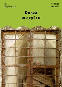 Miciński, W mroku gwiazd, Już świt, Dusza w czyścu