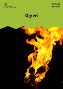 Miciński, W mroku gwiazd, Już świt, Ogień