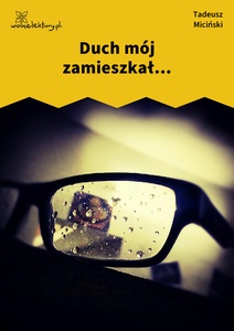 Miciński, W mroku gwiazd, Noce polarne, Duch mój zamieszkał