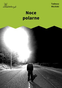 Miciński, W mroku gwiazd, Noce polarne