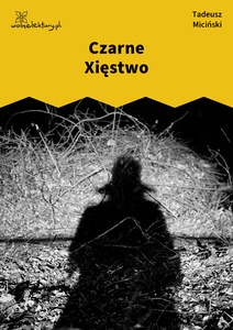Miciński, W mroku gwiazd, Strąceni z niebiosów, Czarne Xięstwo