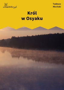 Miciński, W mroku gwiazd, Strąceni z niebiosów, Król w Osyaku
