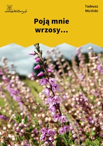 Miciński, W mroku gwiazd, W pośród raju, Poją mnie wrzosy