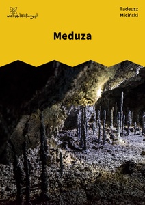 Miciński, W mroku gwiazd, Zatoka tęcz, Meduza