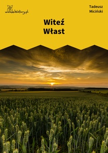 Miciński, W mroku gwiazd, Zatoka tęcz, Witeź Włast