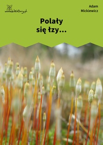 Mickiewicz, Liryki lozańskie, Polały się łzy