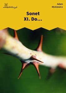 Mickiewicz, Sonety odeskie, Do - Patrzysz mi w oczy