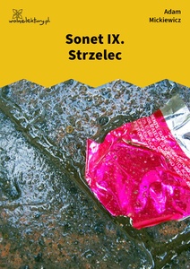 Mickiewicz, Sonety odeskie, Strzelec