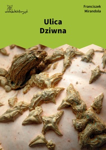 Mirandola, Tropy, Ulica Dziwna