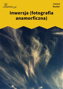 Mueller_Somnambóle_fantomowe_Inwersja_(fotografia_anamorficzna)