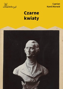 Norwid, Czarne kwiaty