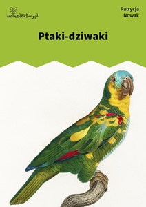 Nowak, Ptaki-dziwaki