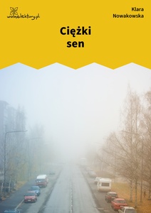 Nowakowska, Niska rozdzielczość, Ciężki sen