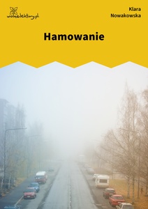 Nowakowska, Niska rozdzielczość, Hamowanie