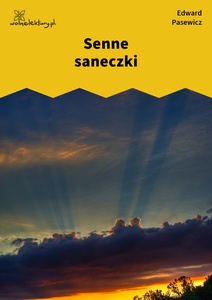 Pasewicz_Dolna_wilda_Senne saneczki