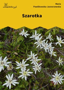 Pawlikowska-Jasnorzewska, Szarotka