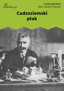 Perec, Opowiadania chasydzkie i ludowe, Cudzoziemski ptak