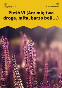 Kochanowski, Pieśni, Księgi pierwsze, Pieśń VI (Acz mię twa droga, miła, barzo boli...)
