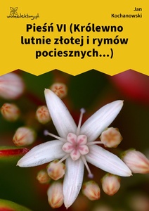 Kochanowski, Pieśni, Księgi wtóre, Pieśń VI (Królewno lutnie złotej i rymów pociesznych...)