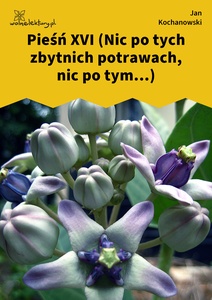 Kochanowski, Pieśni, Księgi wtóre, Pieśń XVI (Nic po tych zbytnich potrawach, nic po tym...)