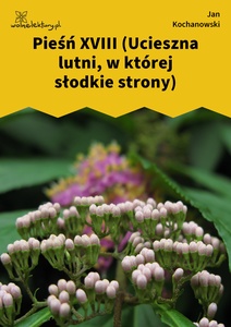 Kochanowski, Pieśni, Księgi wtóre, Pieśń XVIII (Ucieszna lutni, w której słodkie strony)