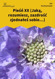 Kochanowski, Pieśni, Księgi wtóre, Pieśń XX (Jaką, rozumiesz, zazdrość zjednałeś sobie...)