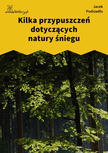 Podsiadło_Wychwyt_Grahama_Kilka przypuszczeń dotyczących natury śniegu