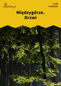 Podsiadło_Wychwyt_Grahama_Międzygórze. Drzwi