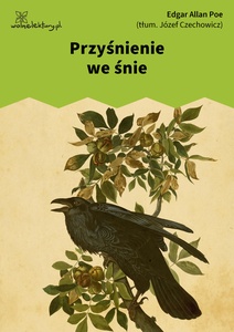 Poe, Poezje, Przyśnienie w śnie